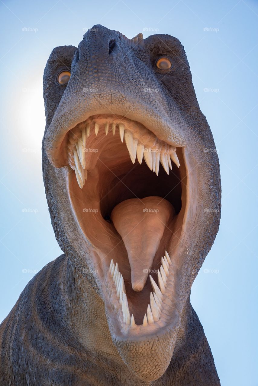 Dinosaur roaring