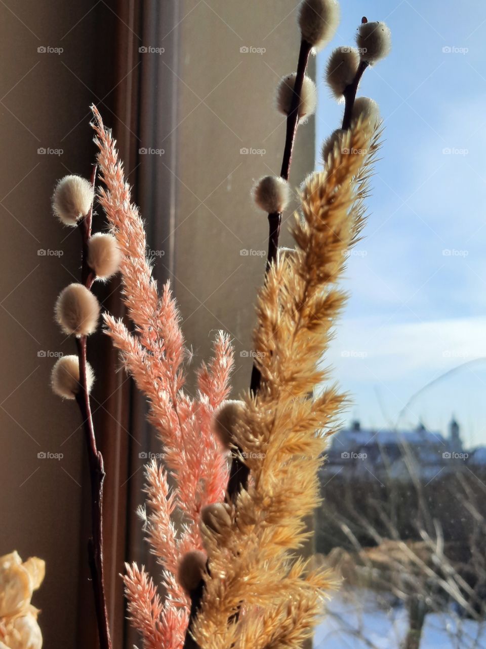 sunlit dry catkins  and grass ears in a bouquet  at windowsill