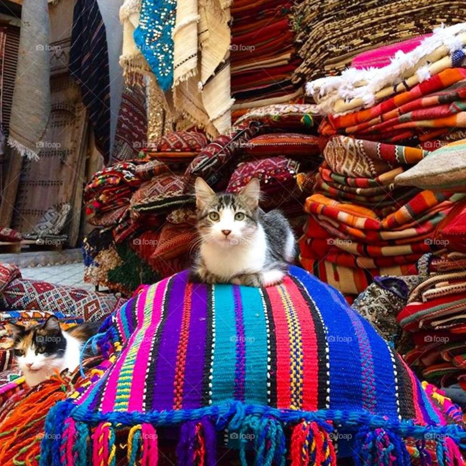 Colors/Morocco
