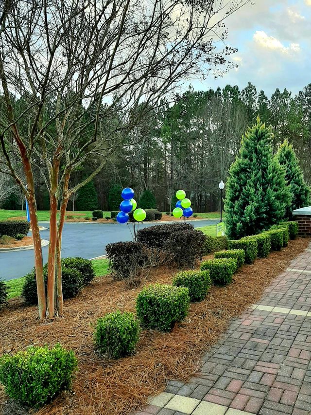 Green and blue balloons