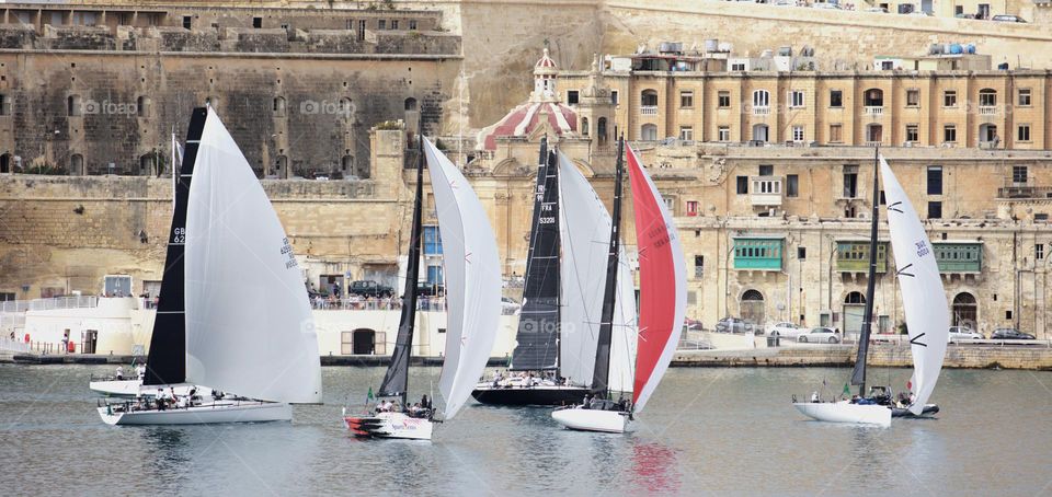sailing regatta race in malta