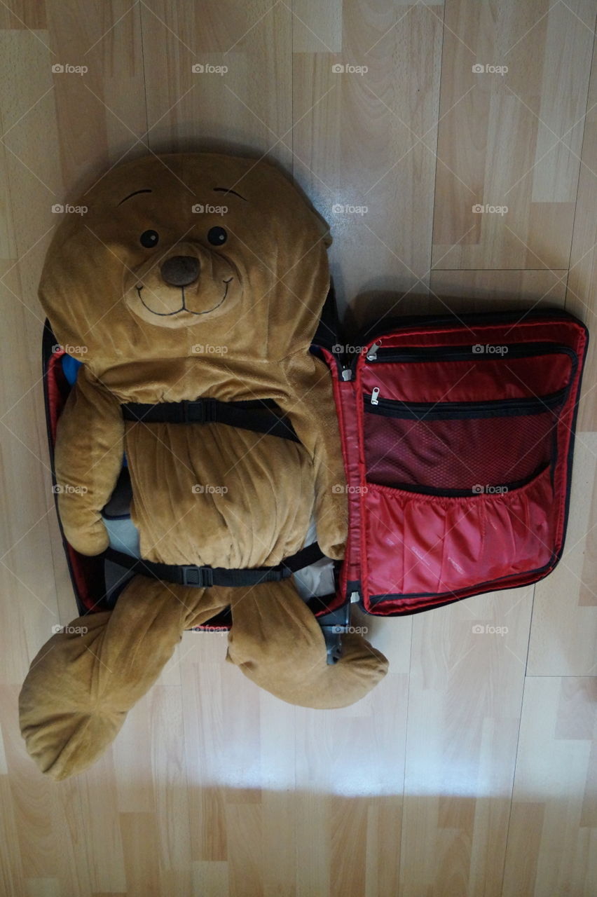 and how to put everything here