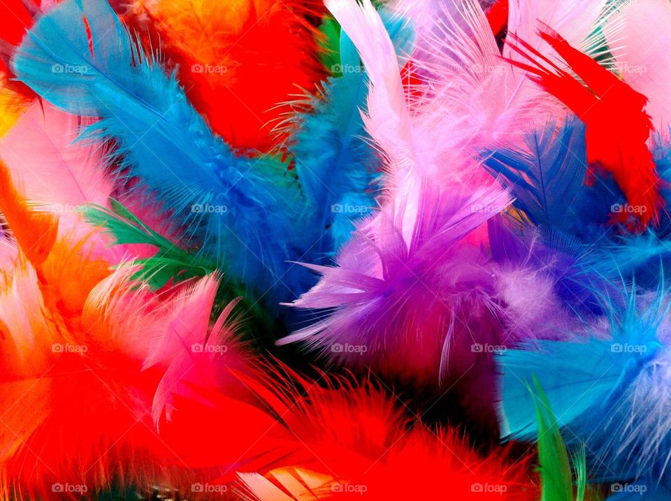 Feathers