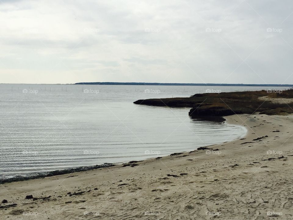 Scenic view of beach