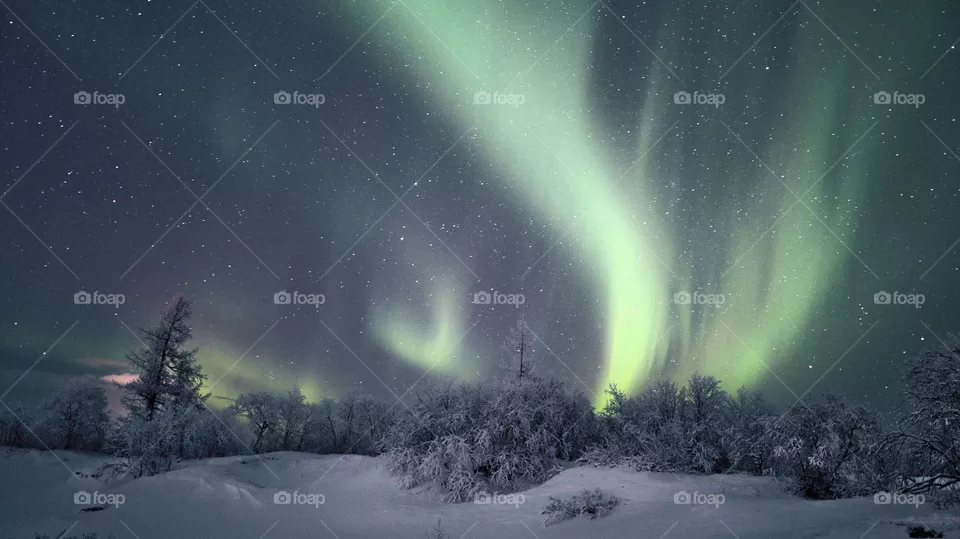 Night, aurora borealis, north, night north, polar region, night polar region, northern lights, stars, frost, frosty night, breath, cold, new year, Santa claus, northern santa claus, travel, night walk, shining sky, flashes, tundra, forest,