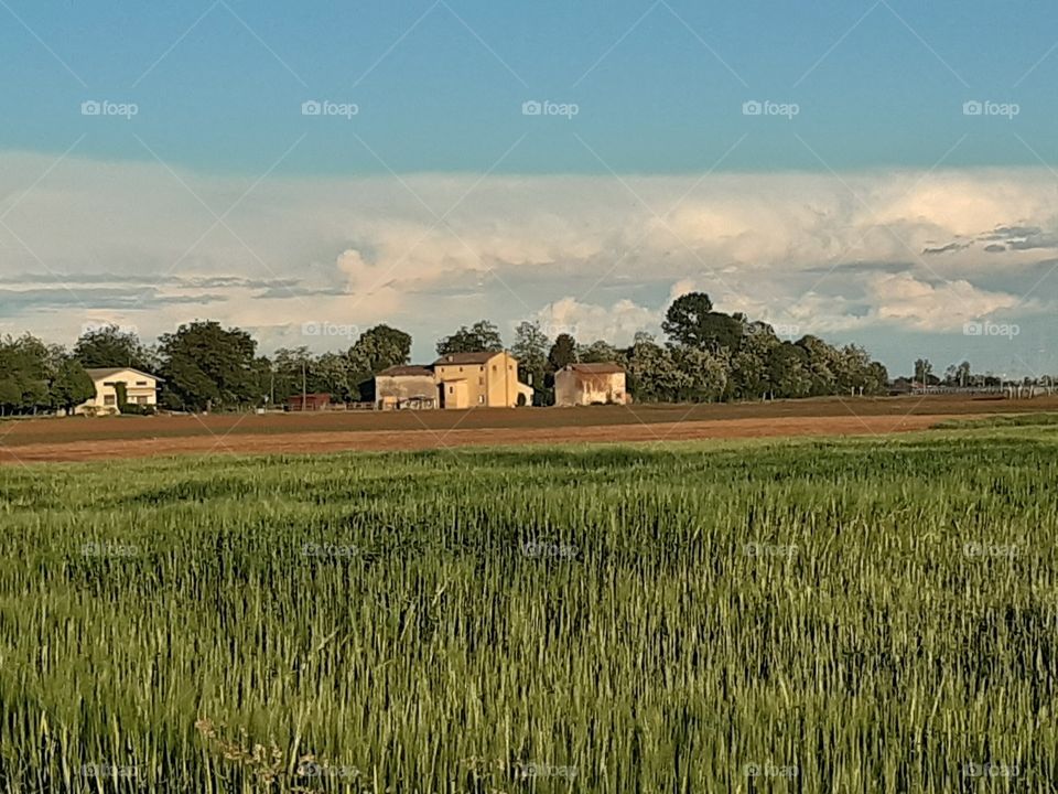 countryside