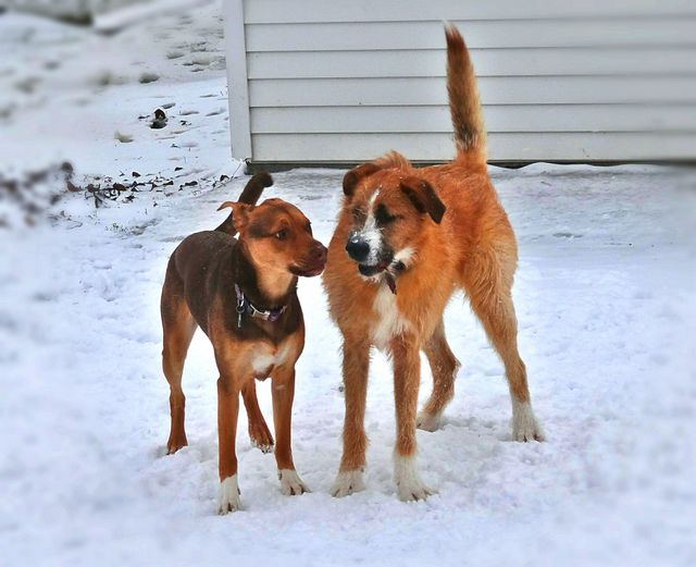 Bff's enj