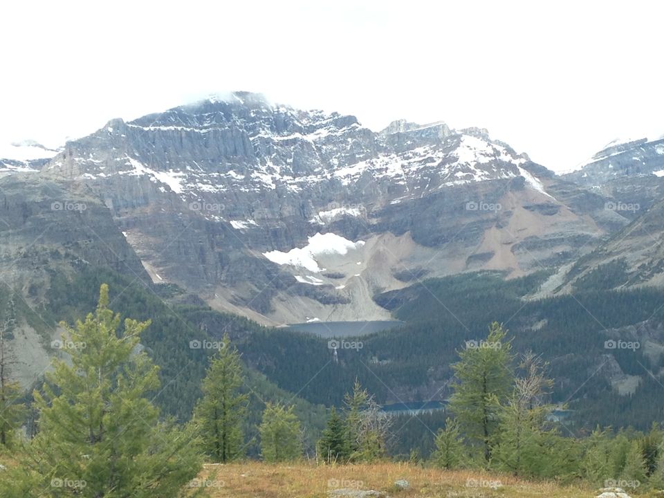 Hike at Healy pass, Alberta 