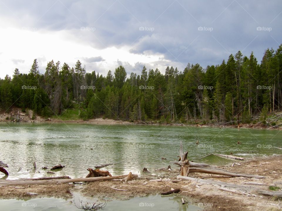 A green lake surrounded by a wall of trees. The sky partly full of clouds. This is a lake in Yellowstone. 