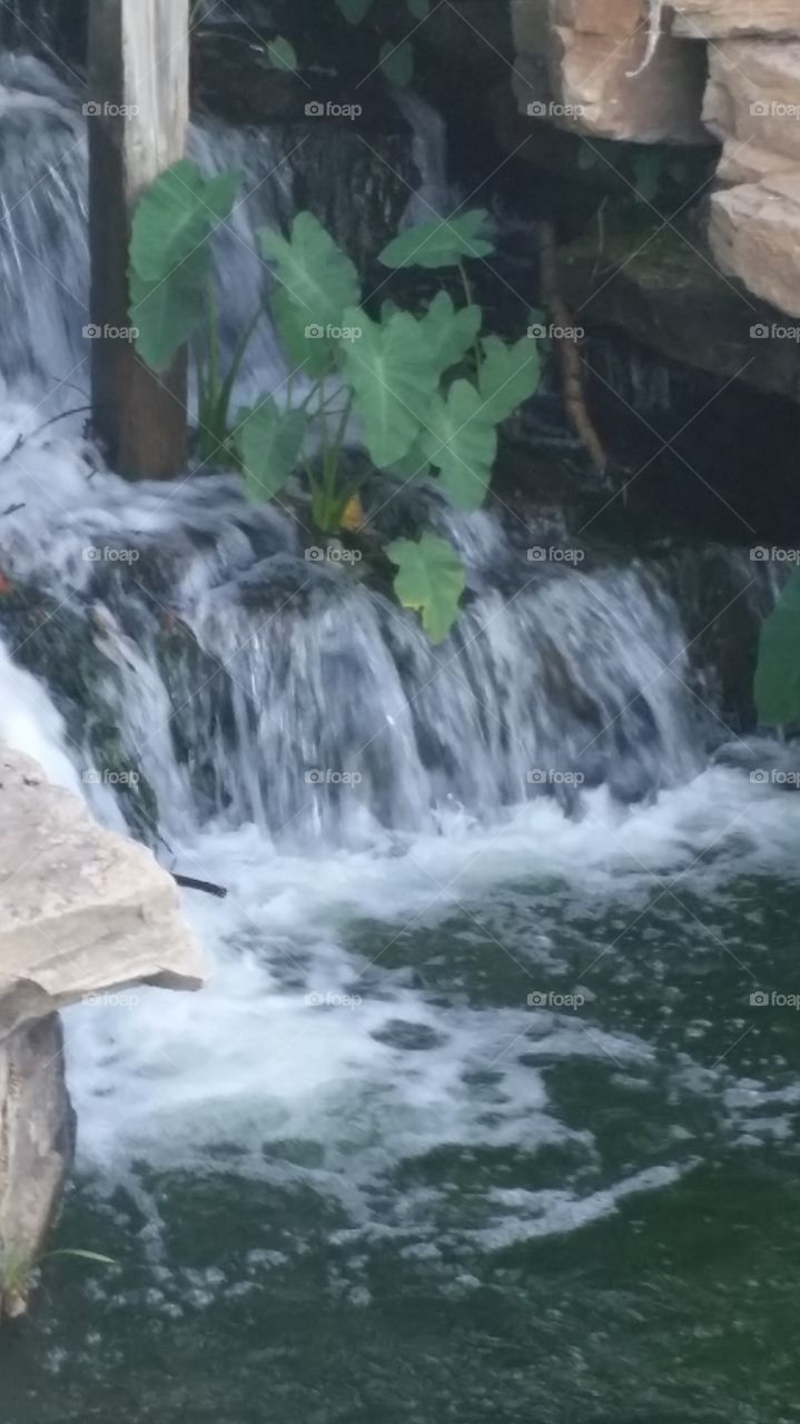 Water, Waterfall, No Person, Stream, Nature