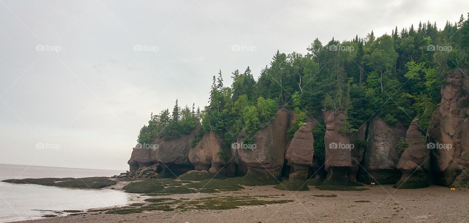 Hopwell Rocks New Brunswick Tourist Attraction