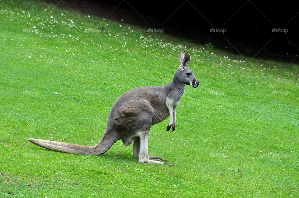 I'm ready to hit the road in this direction. 