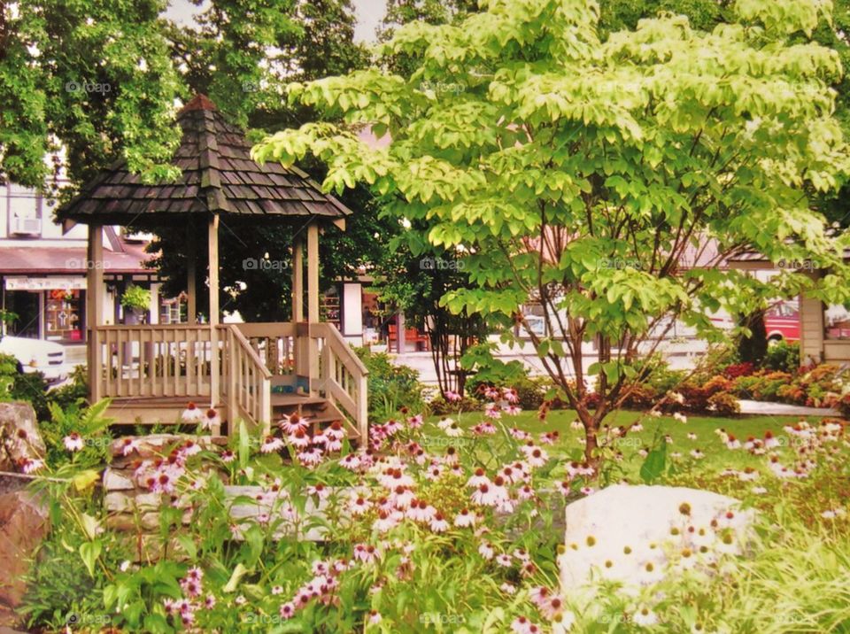 Gazebo in park