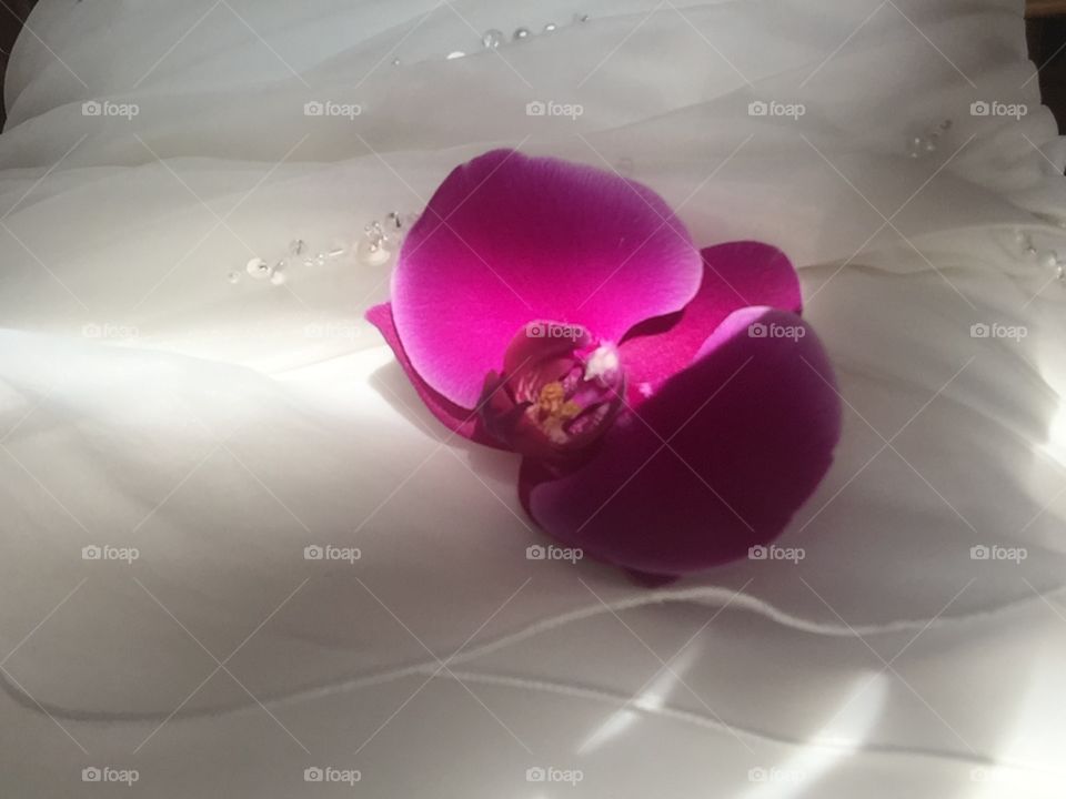 Orchid flower on wedding dress playing with light and shadows. 