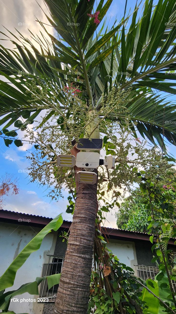 Nature and Technology