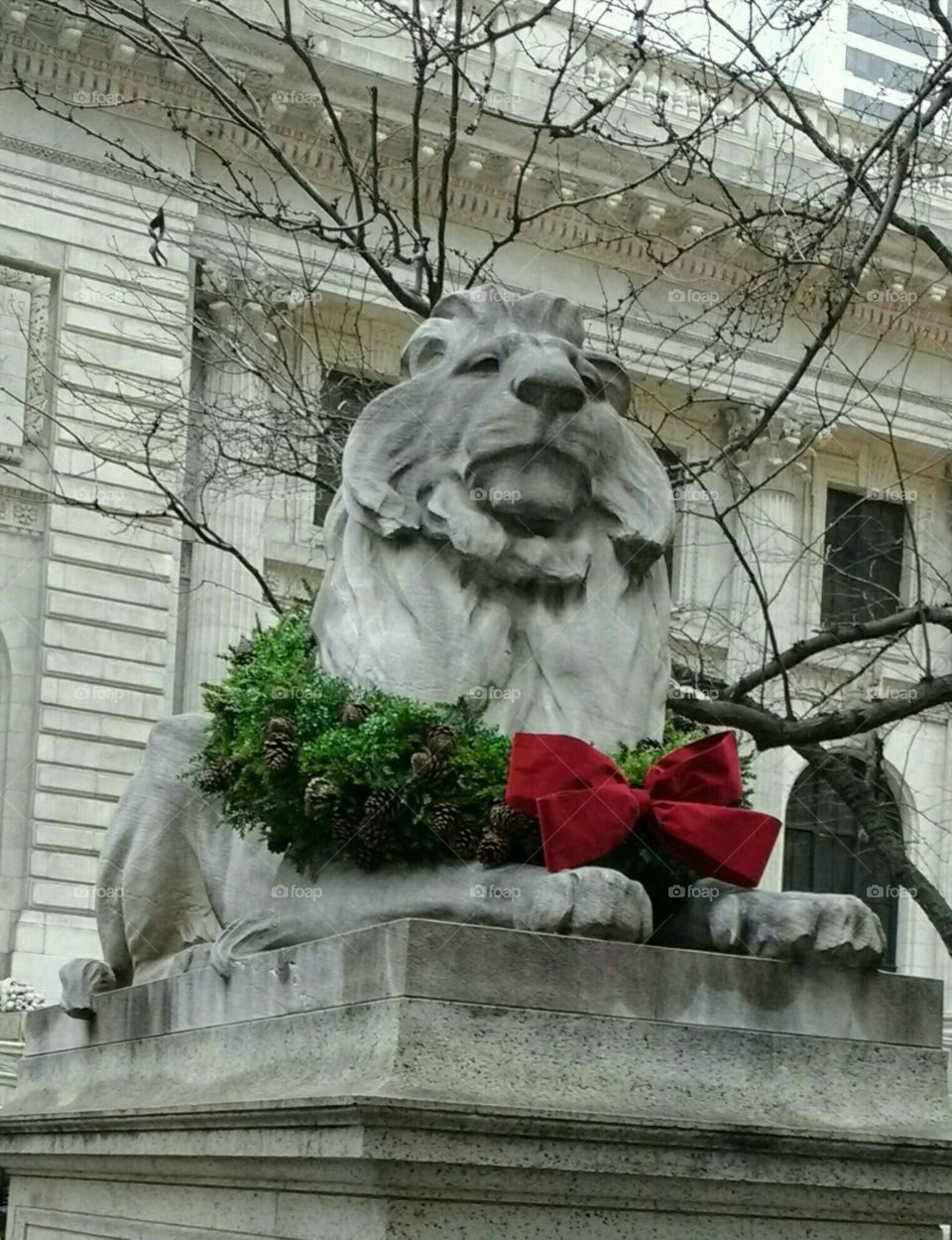 Wreath Around NYC Library Lions