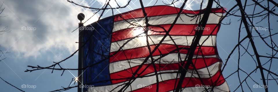 Beautiful flag through the tree