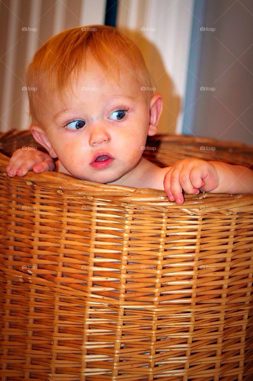 Baby in a Basket