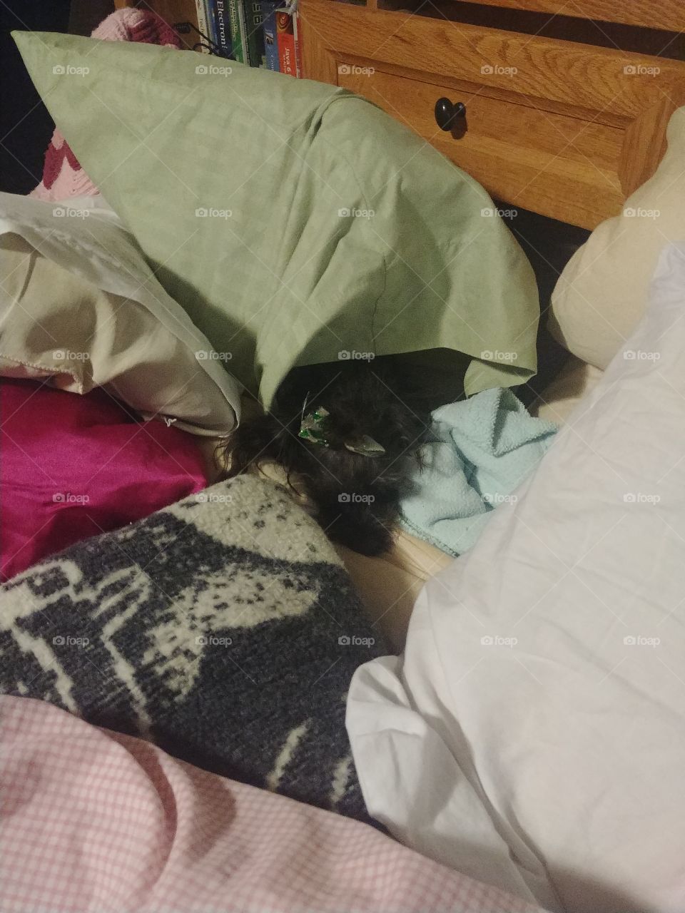 can you find me I'm here I'm just hiding between the tunnel in a pillowcase cuz I got my hair done today