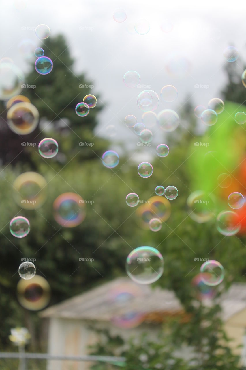 Bubbles in mid-air against trees