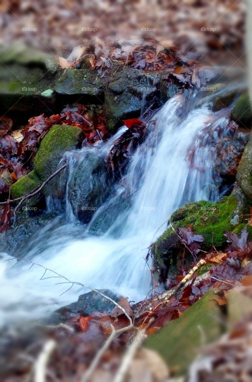 Creek fall