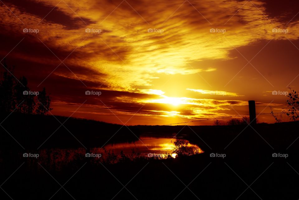 sun set reds and yellow. silhouette