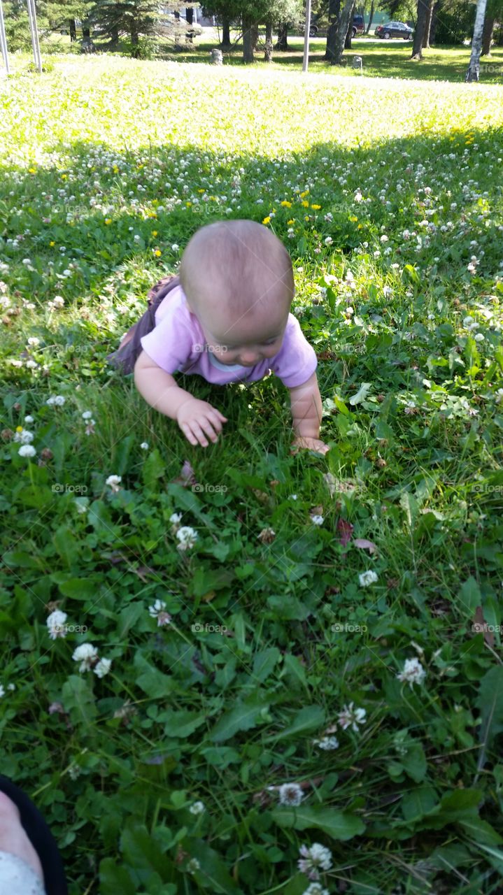 Baby crawling on the grass