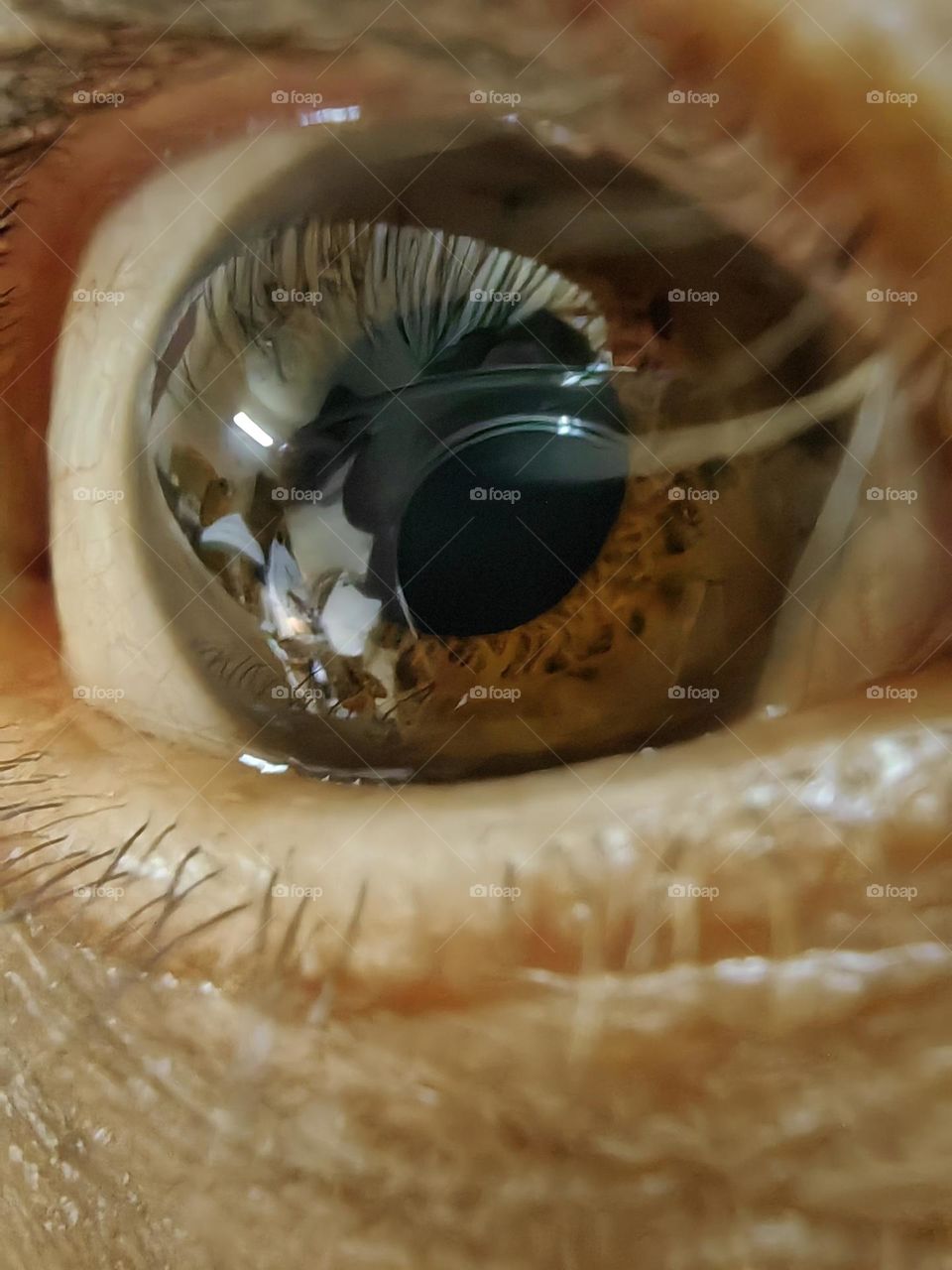 Close up of an eye