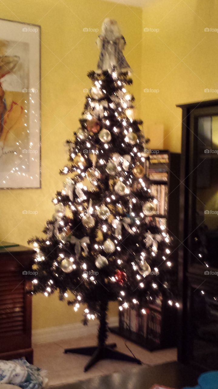 Christmas tree 2014