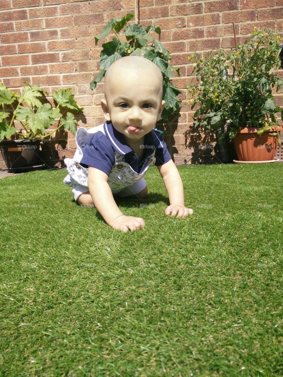 baby boo playing in the garden