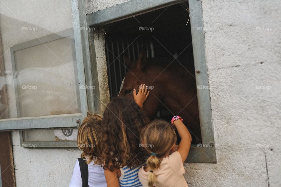 a boy and two girls are petting a horse, brother and sisters came to the stable to spend time with the horses