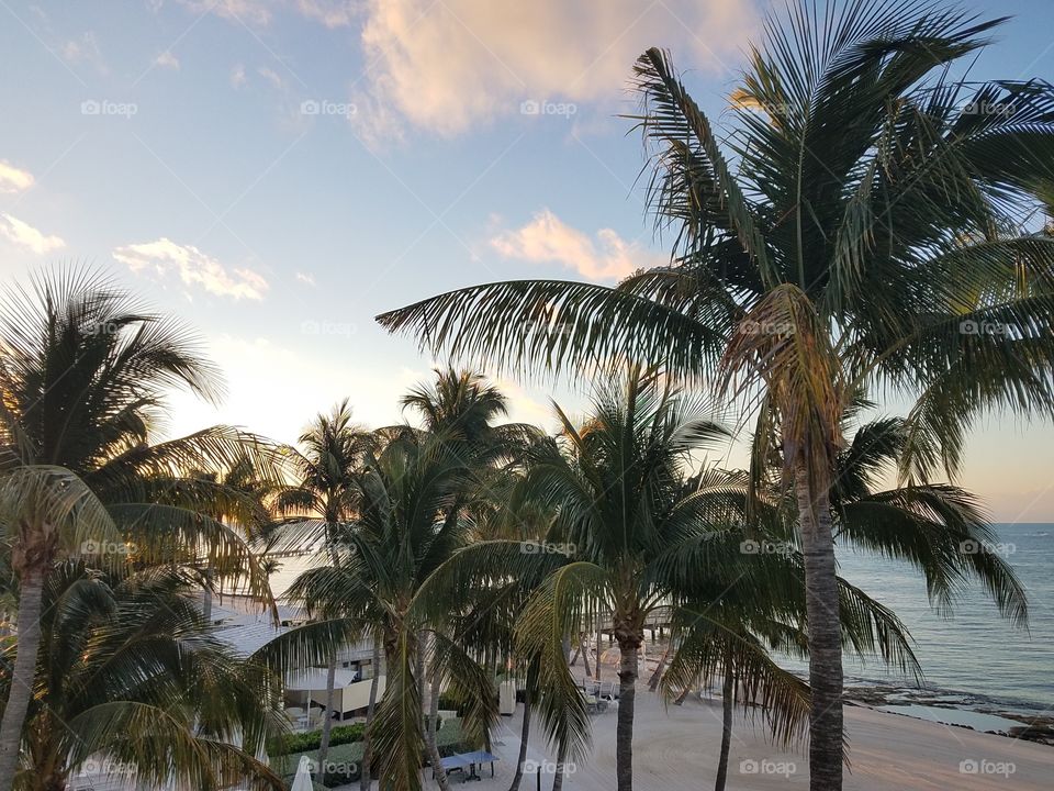 sunrise Key West