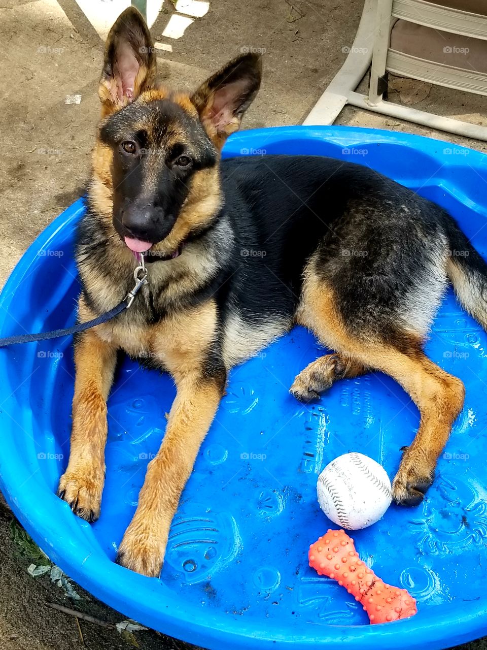 I knew you were sticking your tongue out at me...Caught ya !!!!