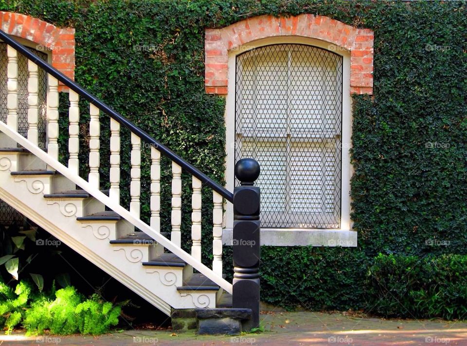 Savannah window and steps