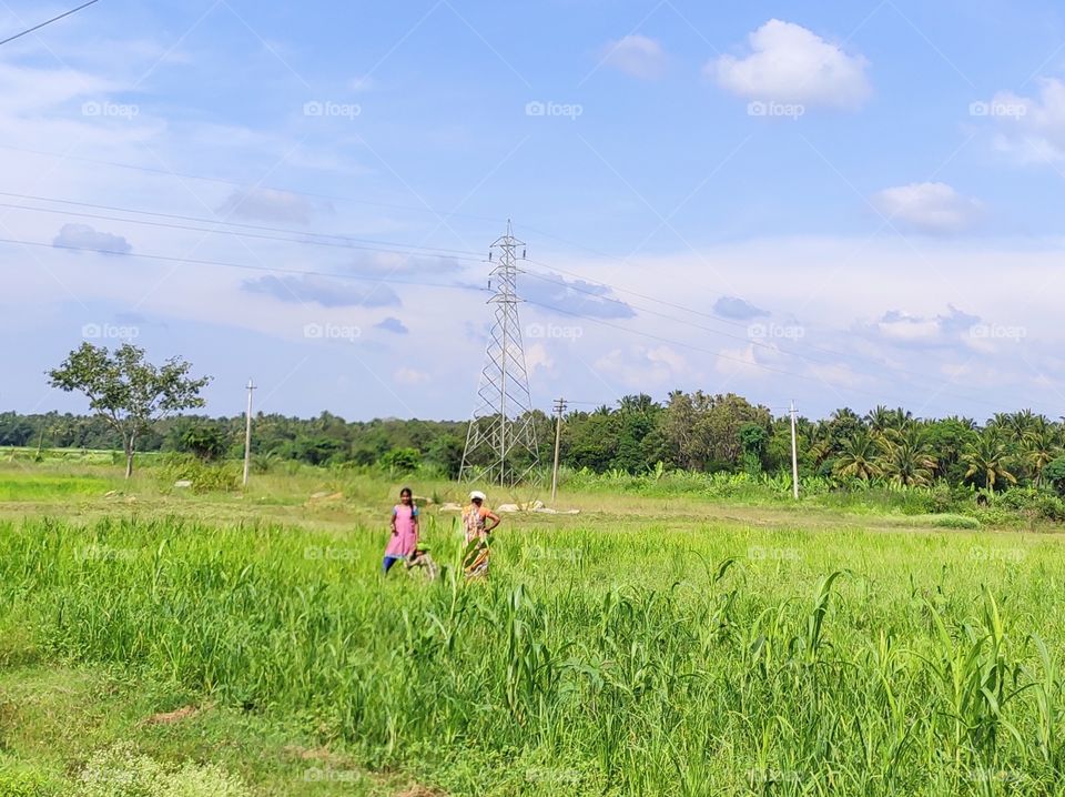 "Jai Jawan, jai Kishan" farmers life of India