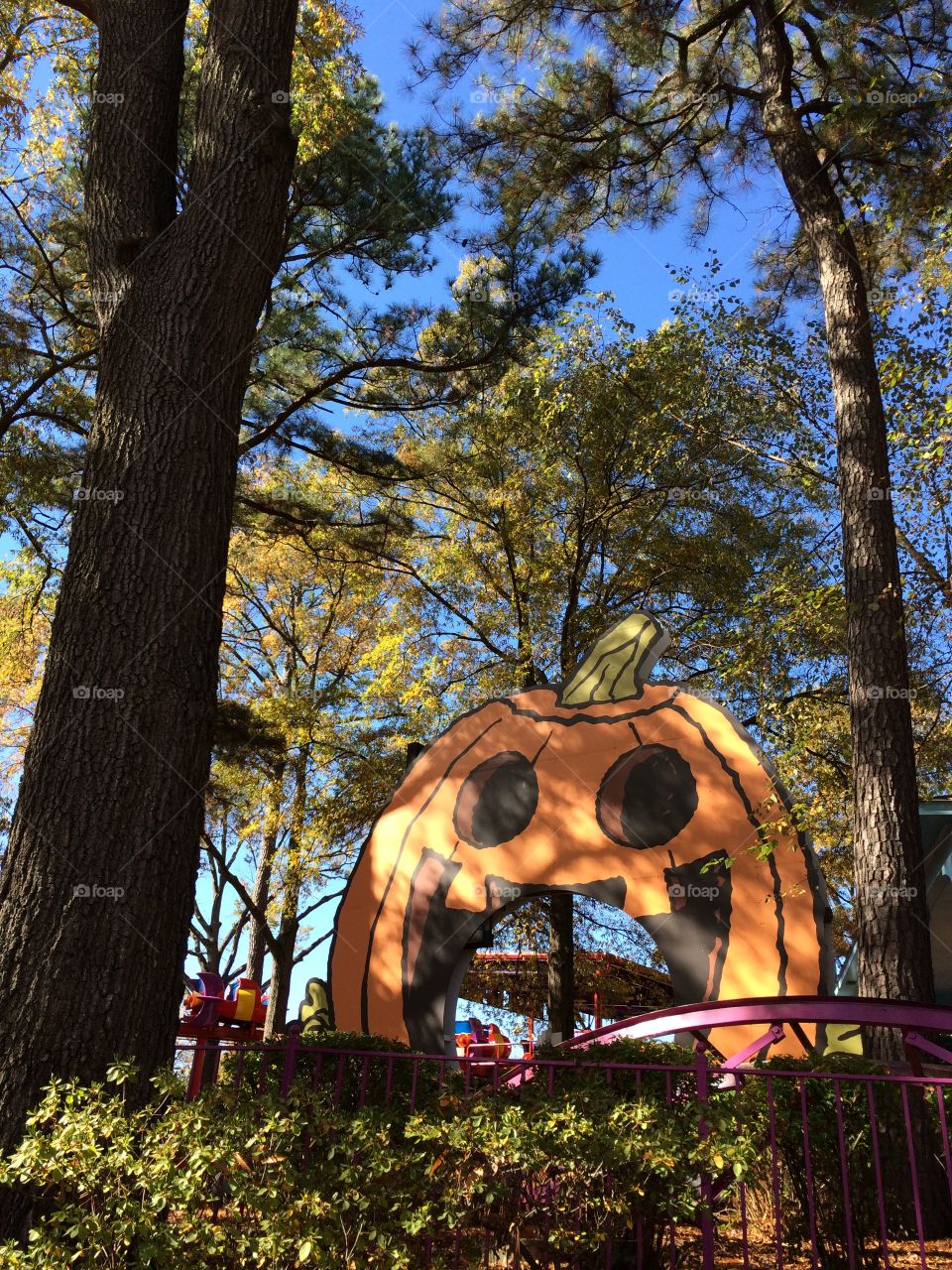 Great pumpkin coaster