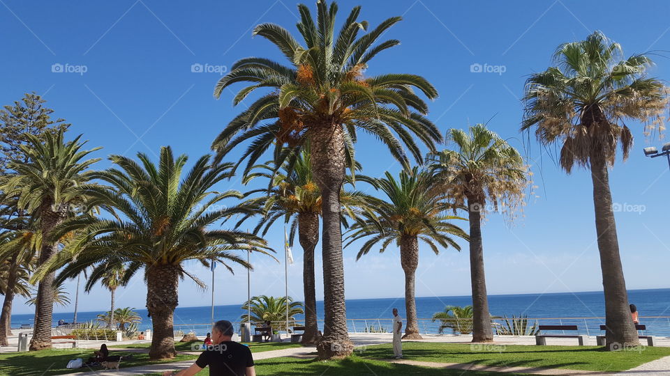 Landscape - Ocean - Algarve PORTUGAL
