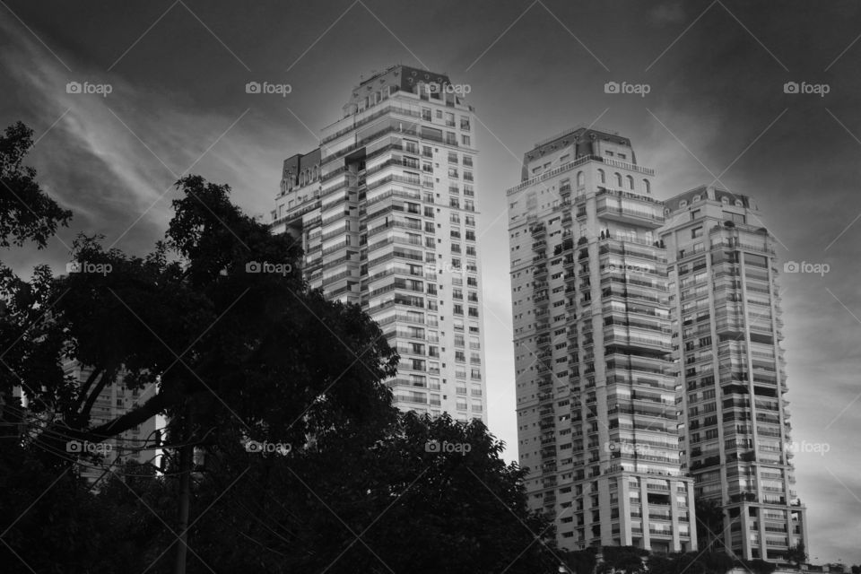 Prédios grandes em dia ensolarado na capital paulista.