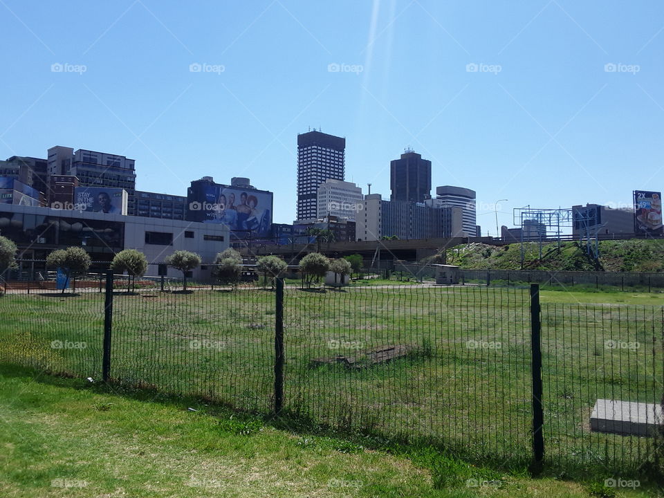 An inner park view near Hillbrow.