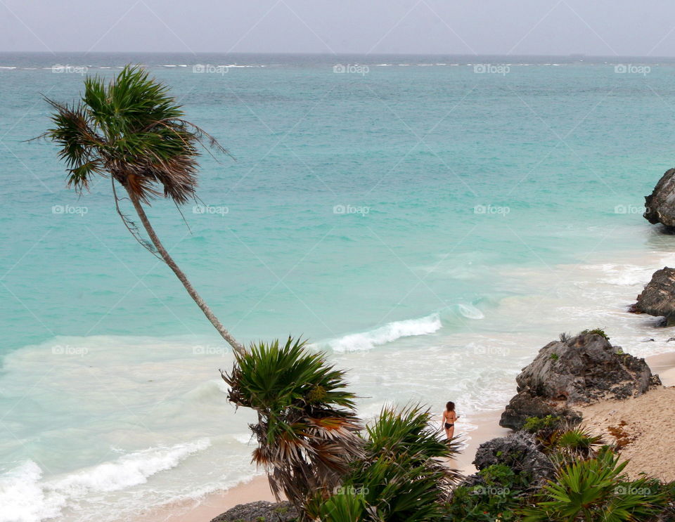 Beach, Seashore, Ocean, Tropical, Sand