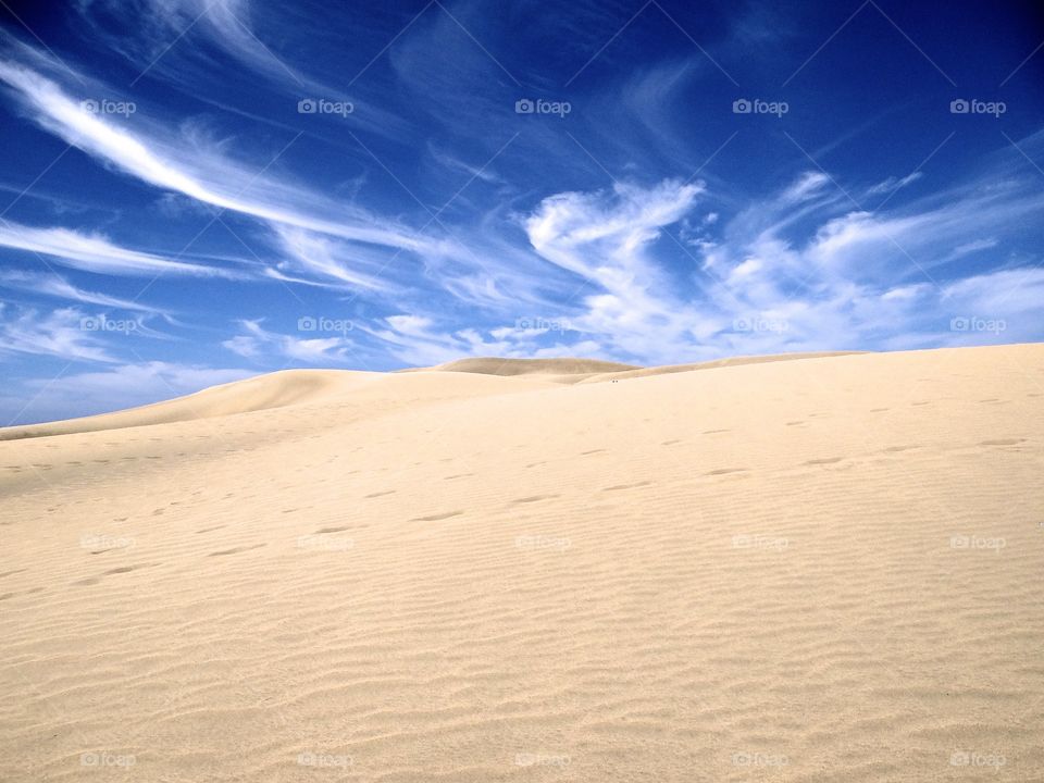 Sand, Desert, Dune, Hot, No Person