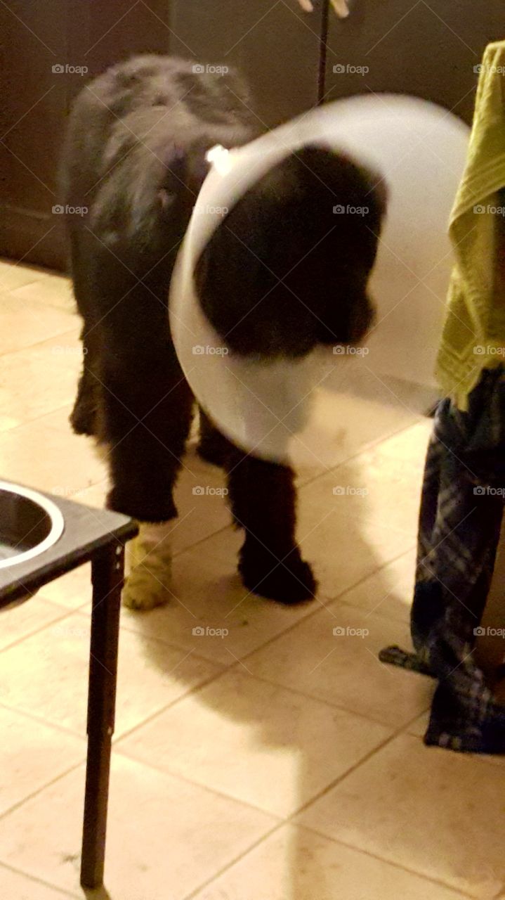 People, Indoors, One, Adult, Room