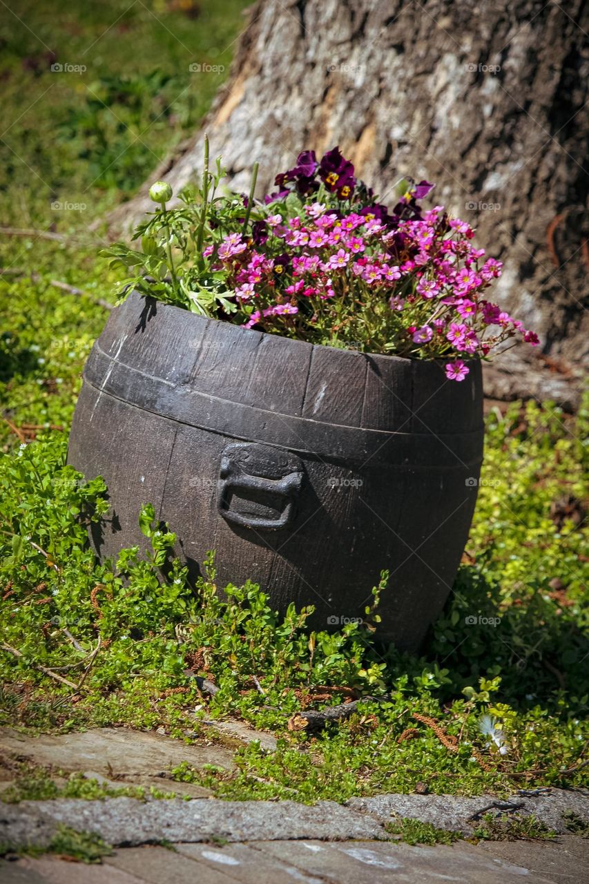 Spring flowers planted in a barrel