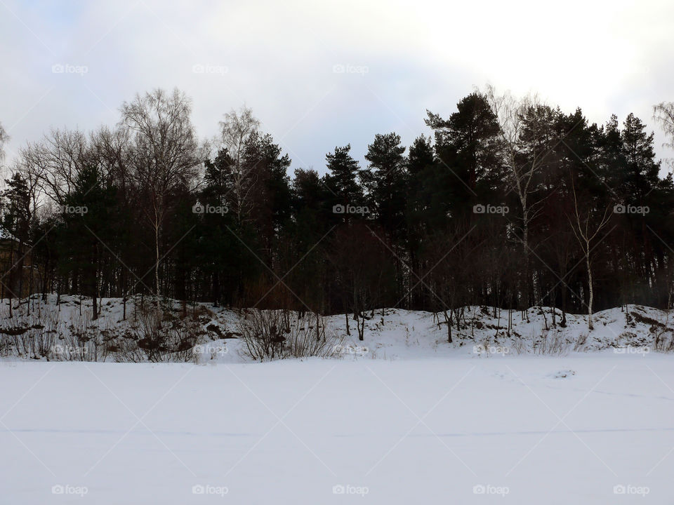 Winter landscape in Jūrmala, Latvia.