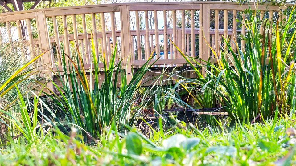 El puente pasa sobre la naturaleza.