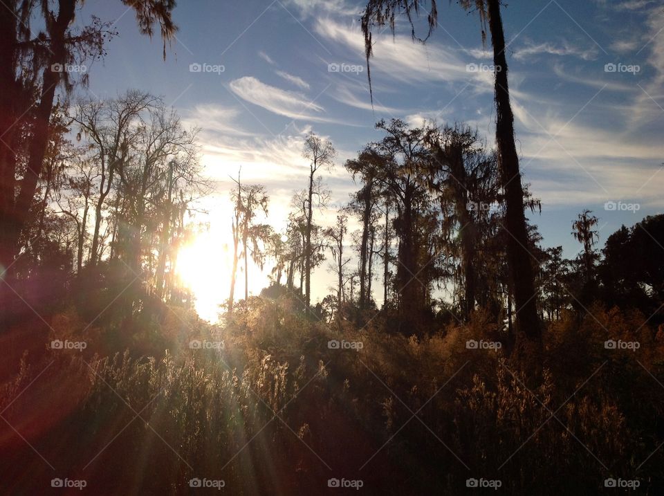 Camping park in Orlando