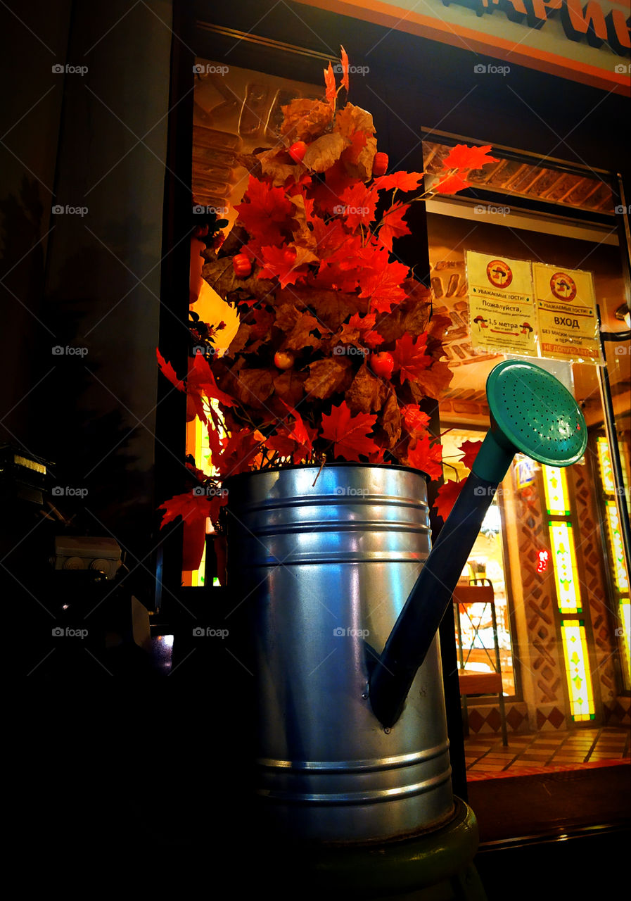 Decor.  Composition of a metal watering can and a bouquet of red autumn leaves