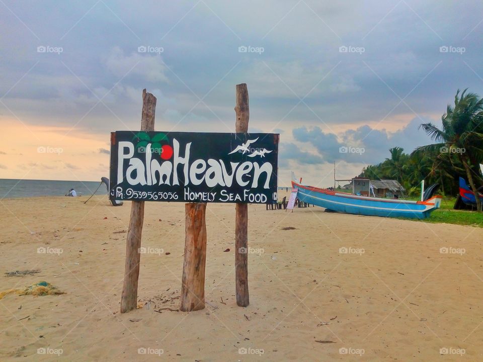 Explore Sandy Beach Ecosystem of Southern india.