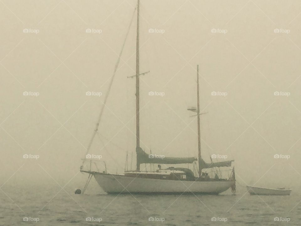 Foggy Day on the Sound