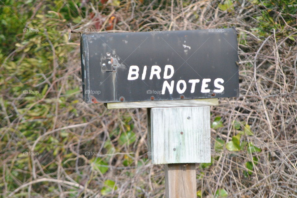 Mail Box for Bird Notes